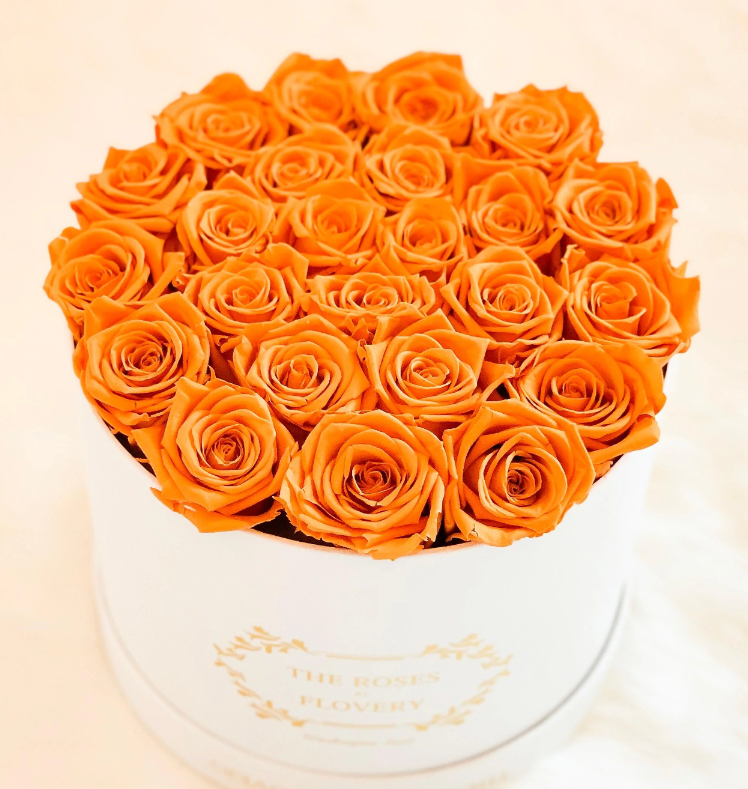 Medium Premium Preserved Orange Roses