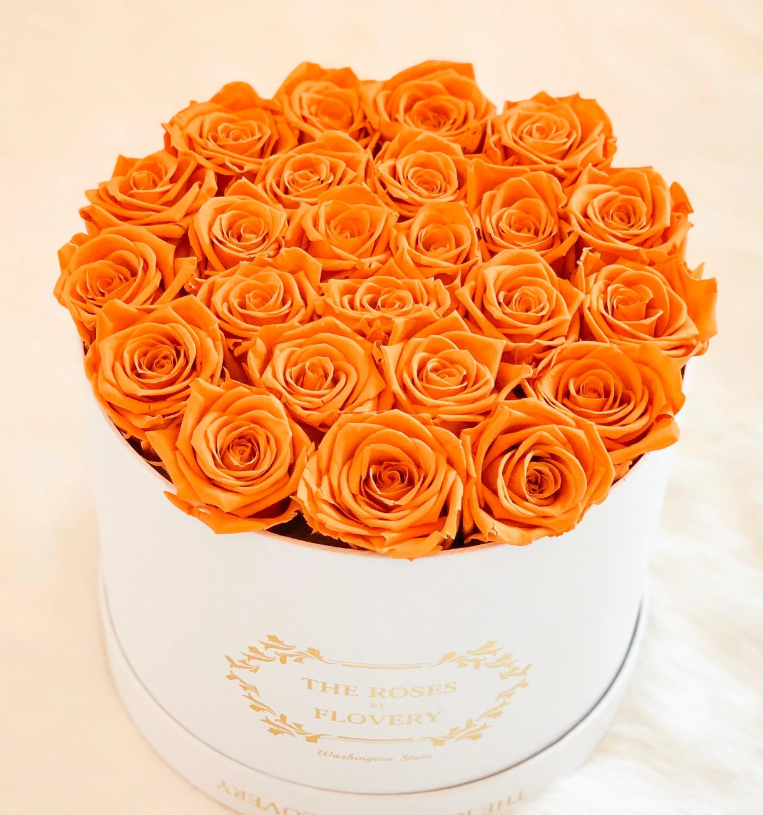 Medium Premium Preserved Orange Roses