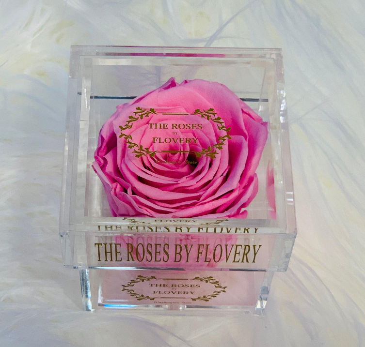 Elegant Premium Ecuador Preserved Pink Rose In Clear Acrylic