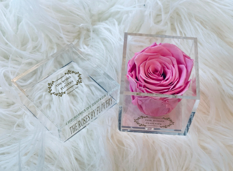 Elegant Premium Ecuador Preserved Pink Rose In Clear Acrylic