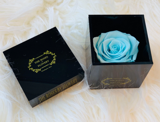 Elegant Premium Ecuador Preserved Tiffany Blue Rose In Black Cube