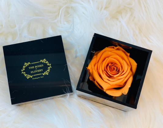 Elegant Premium Ecuador Preserved Orange Rose In Black Cube